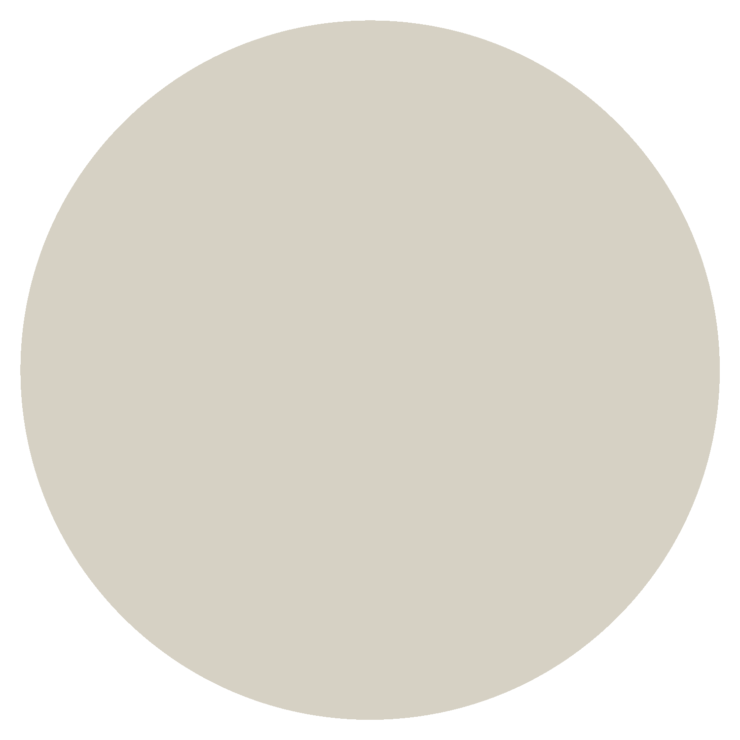 Centered dark minimalist symbol: circle bisected by a vertical line on a light beige circular background.