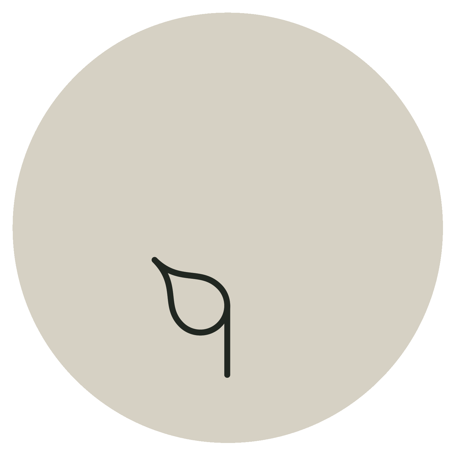 Wheat stalk with a diagonal slash indicating gluten-free (no wheat)
